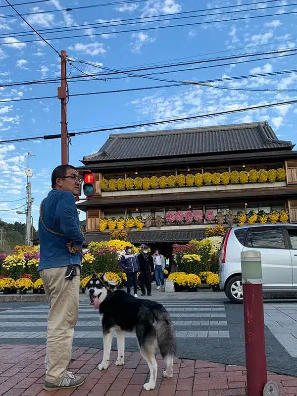 的野さんと犬